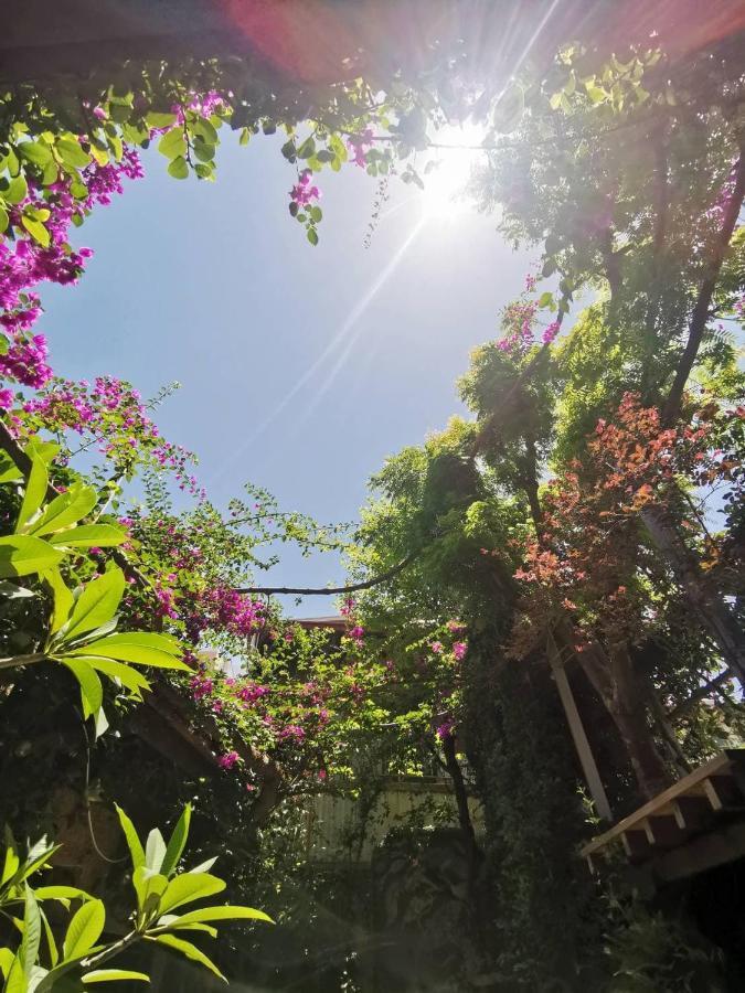 تاينان Dear B&B المظهر الخارجي الصورة