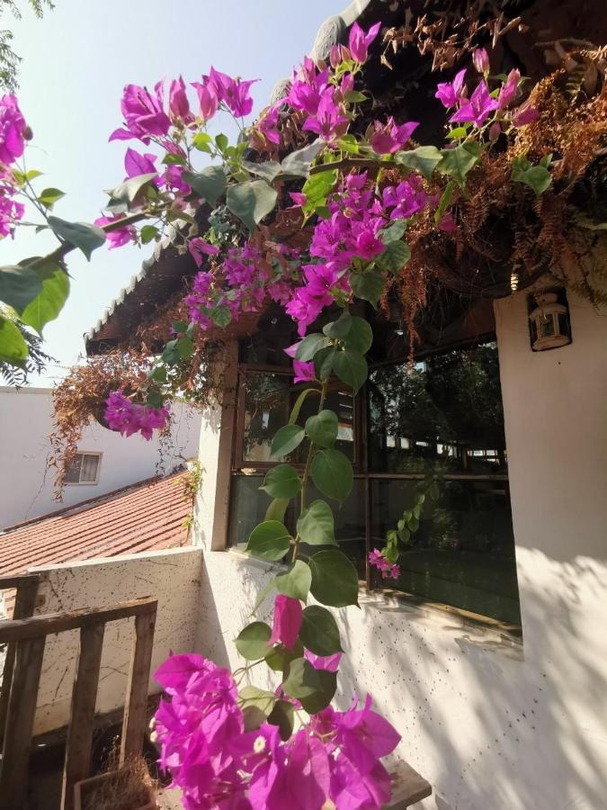 تاينان Dear B&B المظهر الخارجي الصورة